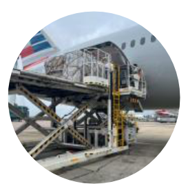Specialist loading and handling of fine art cargo
